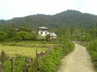 my villa